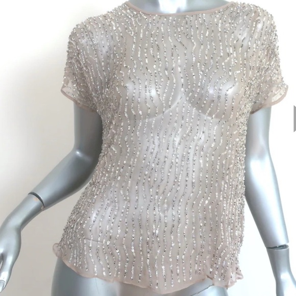 NWT* PARKER Hazel Silk Sequin Top Champagne Grey XS - Picture 1 of 10